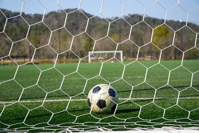 他分享了自 他分享了自