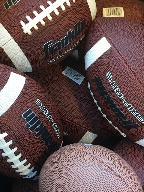 拉伊奥拉公 拉伊奥拉公