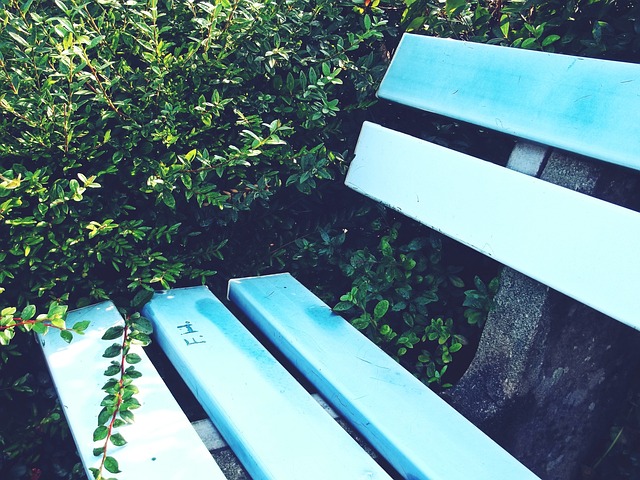 的初印象 的初印象