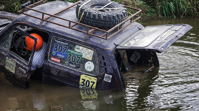 得到了顯著 得到了顯著